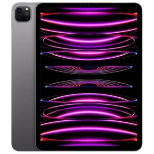 Apple iPad Pro 11 M2 (2022) 256GB Wi-Fi Space Gray