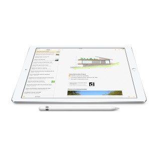 Стилус Apple Pencil (1-го поколения) с USB-C to Apple Pencil адаптером 